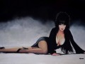 Elvira Mistress of The Dark