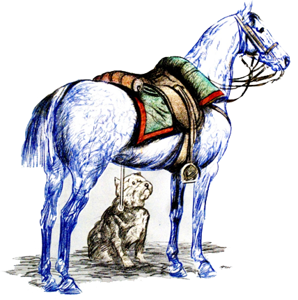 horse color sketch